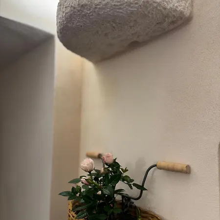 Volta Meraviglia Martina Franca