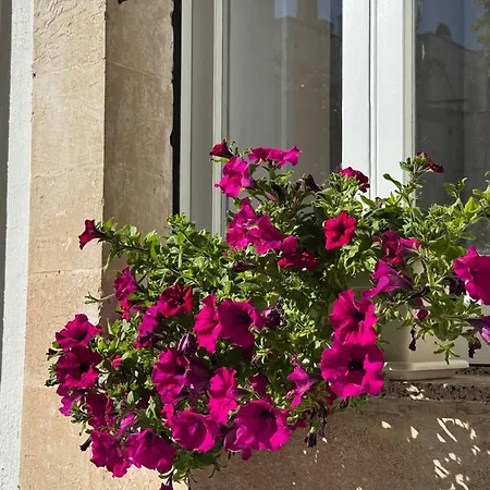 Volta Meraviglia Maison d'hôtes 3*