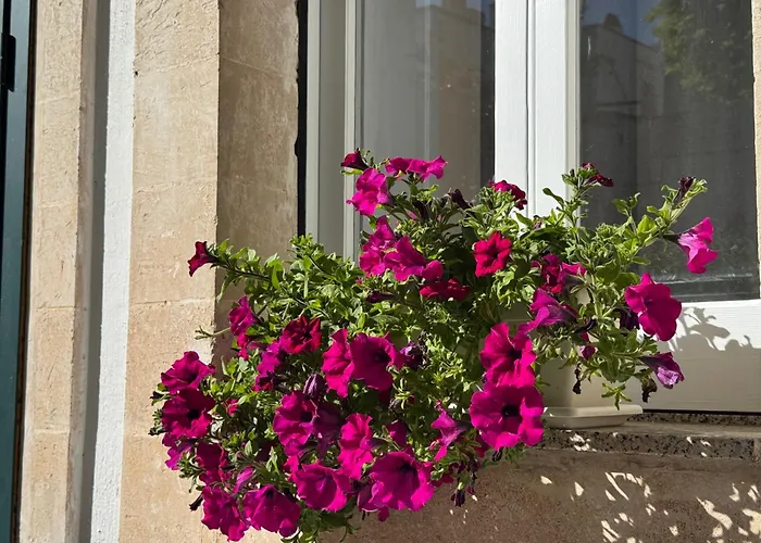 Volta Meraviglia Guest house 3*